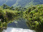 O canal Moulin no coração da Reserva Natural Nacional de Saint-Paul Pond.jpg