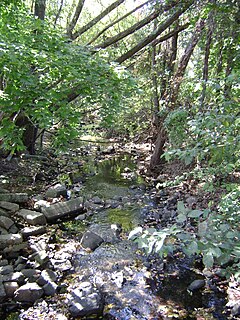 Little Diamond Brook river in the United States of America