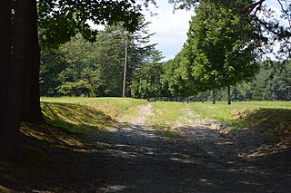 Duke House Historic house in Virginia, United States