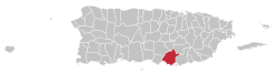 Localização de Salinas em Porto Rico