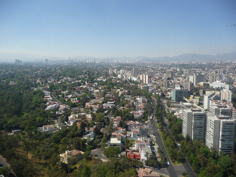Lejos de la opulencia y cerca del arte: así es la casa de Carlos Slim en  las Lomas de Chapultepec - Infobae