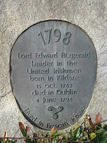 The boulder which Roches Stores erected after they demolished Frescati Lord Edward Fitzgerald plaque frescati.JPG
