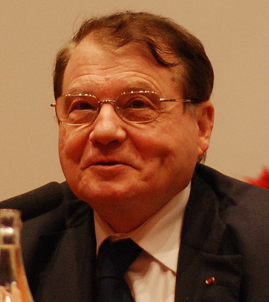 File:Luc Montagnier-press conference Dec 06th, 2008-4 (cropped).jpg