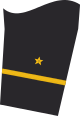 Dienstgradabzeichen eines Leutnants zur See (Truppendienst) auf dem Unterärmel der Jacke des Dienstanzuges für Marineuniformträger