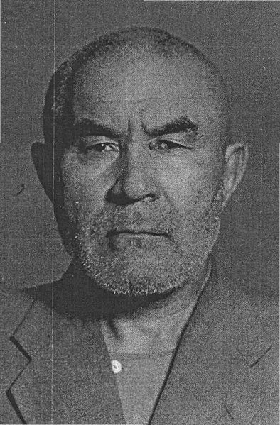 File:MGB Vlasyevsky.jpg