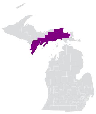 <span class="mw-page-title-main">Michigan's 108th House of Representatives district</span> American legislative district