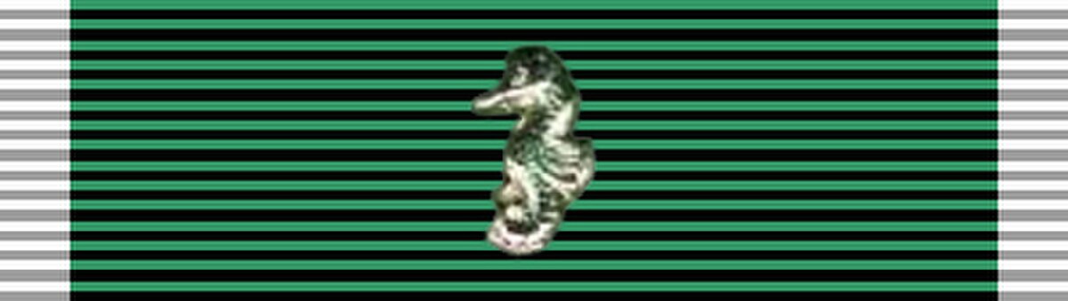 Gallant Ship Citation Ribbon