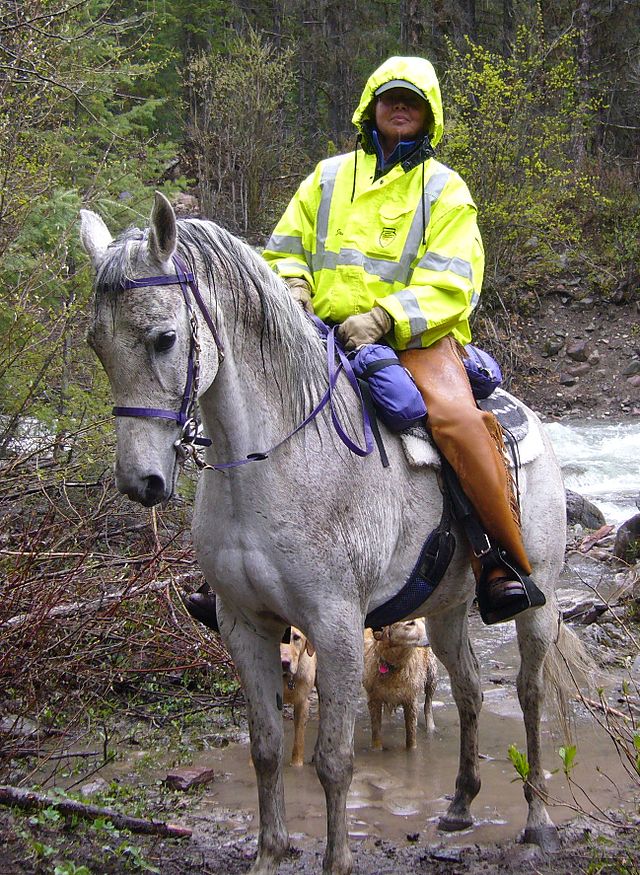 Endurance riding - Wikipedia