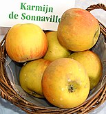 Karmijn de Sonnaville