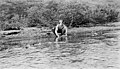 Man panning for gold on riverbank, vicinity of Nome, 1903-1920 (AL+CA 6125).jpg