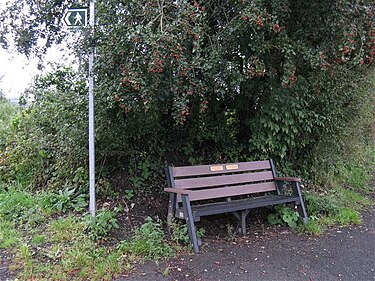 Bench in the village of Cilybebyll, in memorial for Primrose Colliery disaster of 1858, which claimed the lives of 14 miners (men and boys) and 7 horses Memorial bench for Primrose Colliery disaster - geograph.org.uk - 1468161.jpg