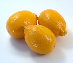 Sitruuna (Citrus limon)