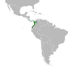 Distribución geográfica de la tangara carinegruzca.