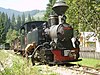 Vasar Valley Mocăniţa, a narrow gauge railway in Romania