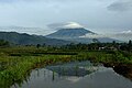 Le volcan Sumbing
