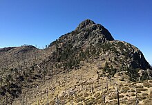 Looking up, close to the summit of Wrightson (April 2016).