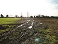 Thumbnail for File:Mud, mud, glorious mud - geograph.org.uk - 4279265.jpg