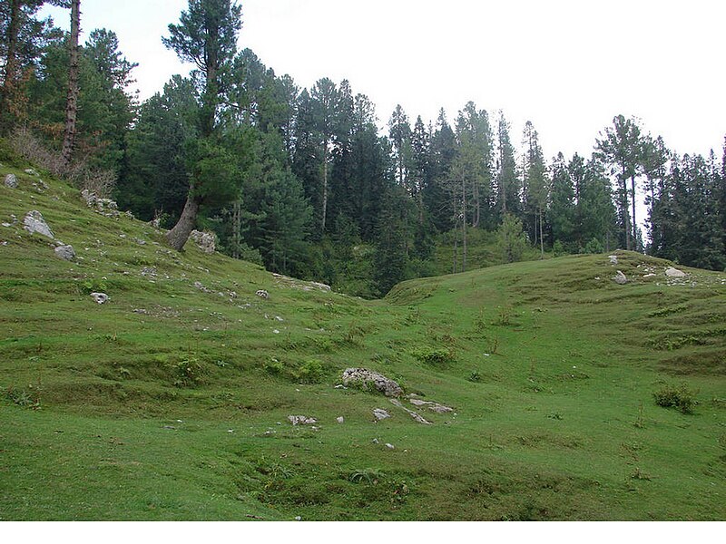 File:Murree-pakistan.jpg