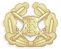 Cap badge voor officieren[41]