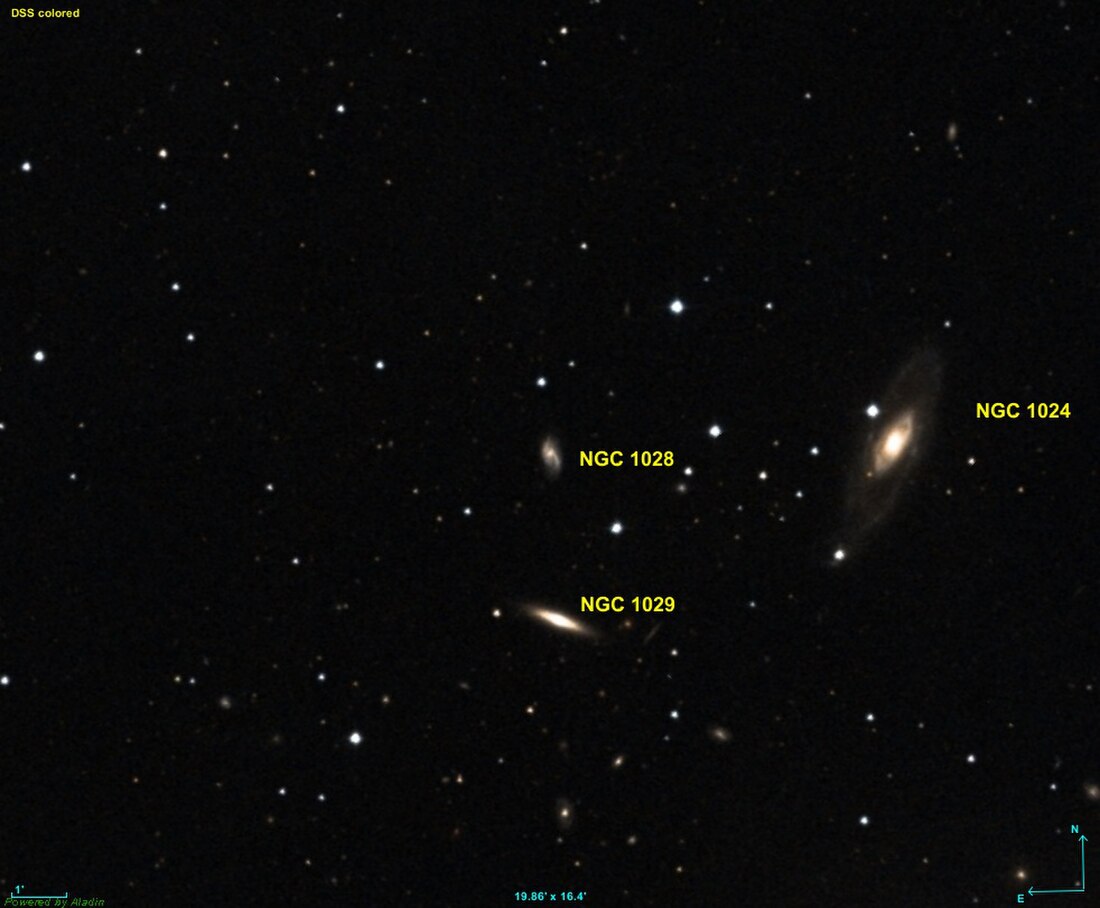 NGC 1028