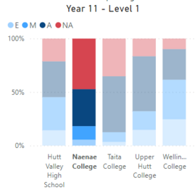 Naenae College's NCEA level 1 results from 2018 to 2022. Naenae College NCEA statistics.png