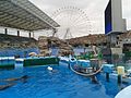 名古屋港水族館内観