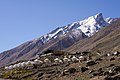 * Nomination Namkha Resort with tent cabins, Padum, Zanskar --Tagooty 03:09, 20 November 2022 (UTC) * Promotion  Support Good quality -- Johann Jaritz 03:13, 20 November 2022 (UTC)