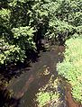 Rzeka Niechwaszcz przy drodze z miejscowści Odry do Czerska