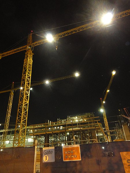 File:Night Cranes.jpg