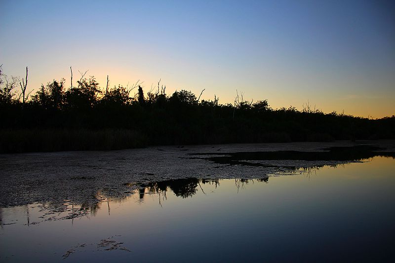 File:Ord River at sunset during dry season.jpg