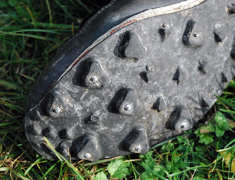 orienteering shoes