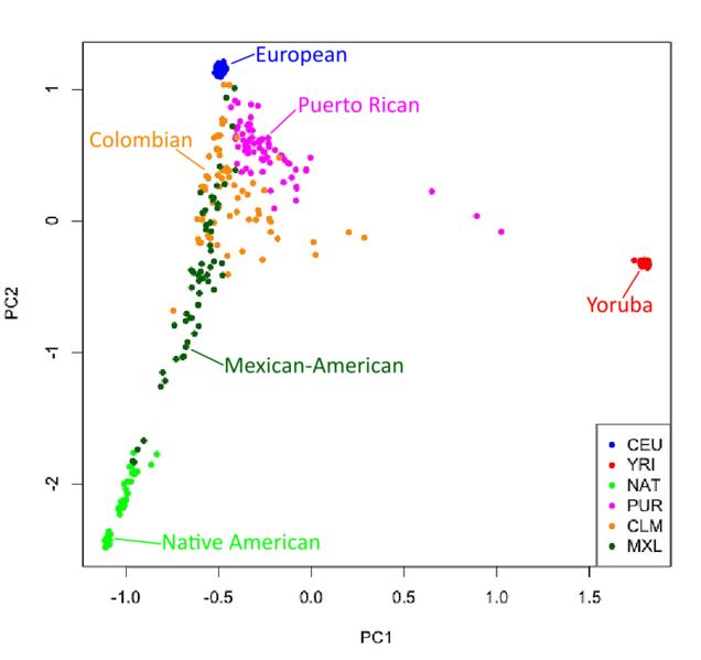 File:PCA of Colombian, Mexican-American, Puerto Rican and Native American.png
