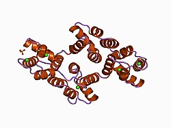 PDB 1bc3 EBI.jpg