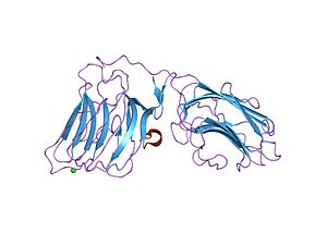 PDB 1okq EBI.jpg