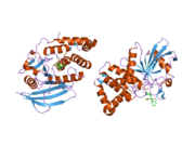 2h02: Structural studies of protein tyrosine phosphatase beta catalytic domain in complex with inhibitors