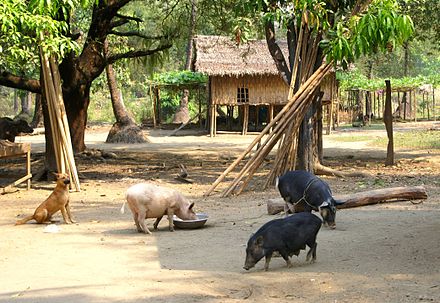 A traditional Mru village in Chin State, Myanmar.