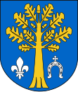 Wappen von Kluki