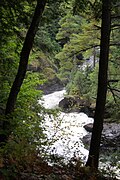 Vue des chutes le long d'un sentier.