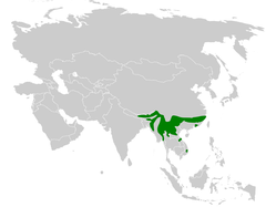 Parus spilonotus distribution map.png