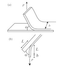 Diagram over en peelingstest.