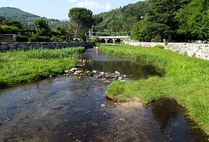 Hydrology Discharge