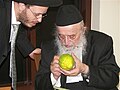 PikiWiki Israel 9435 Rabbi Bergman examines a students citron.jpg