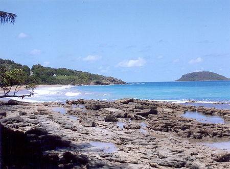 Plage.Guadeloupe.jpg