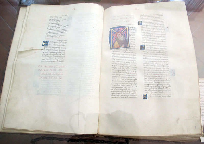 File:Plinio il vecchio, naturalis historia, 1446, manoscritto S. XI.1, 01.JPG