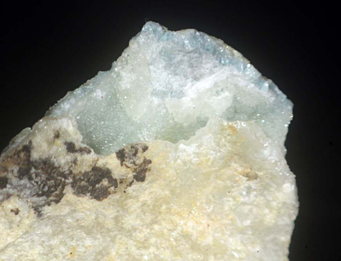 Plumbotsumite