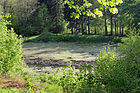 Čeština: Rybník pod Skrýšovem, části Polné English: Pond by Skrýšov, part of Polná, Czech Republic