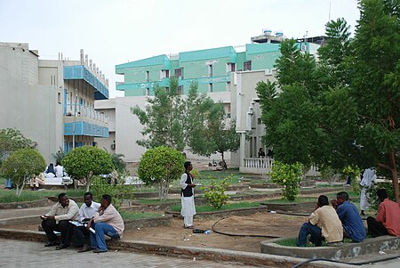 PortSudan University.jpg