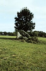 Portal Tomb Glencloghlea.jpg