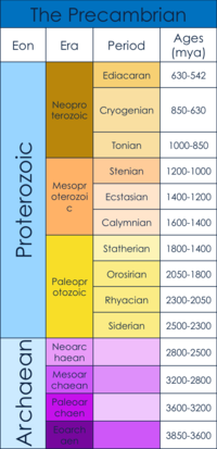 Thumbnail for Precambrian body plans