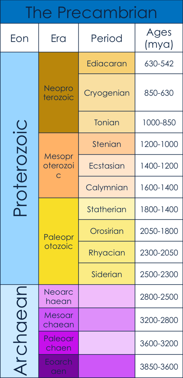 precambrian bacteria